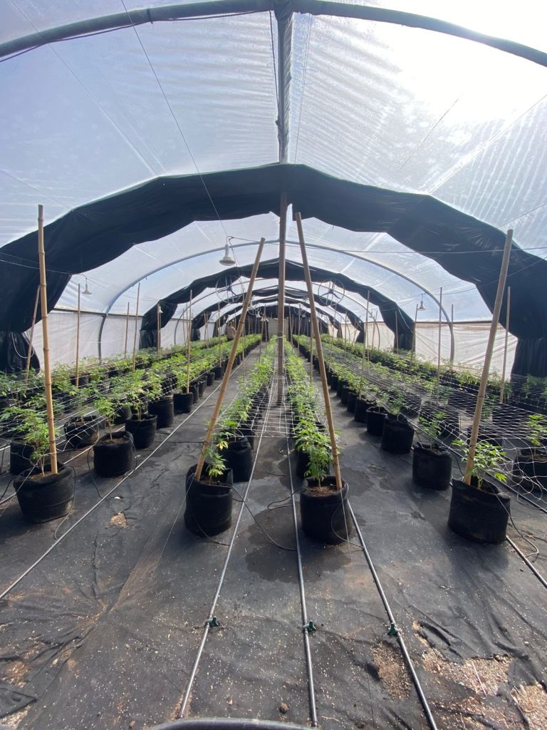 IMG 20240826 WA0023 768x1024