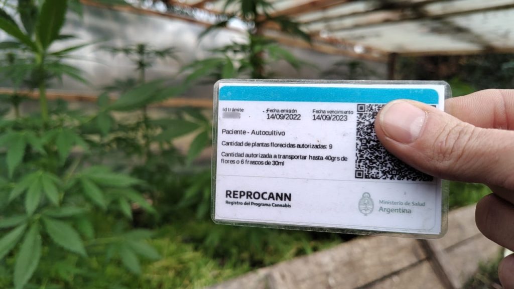Nuevos cambios en el Reprocann: qué pasa con las inscripciones, las ONGs y las semillas WhatsApp Image 2024 06 07 At 17.21.58 1024x576