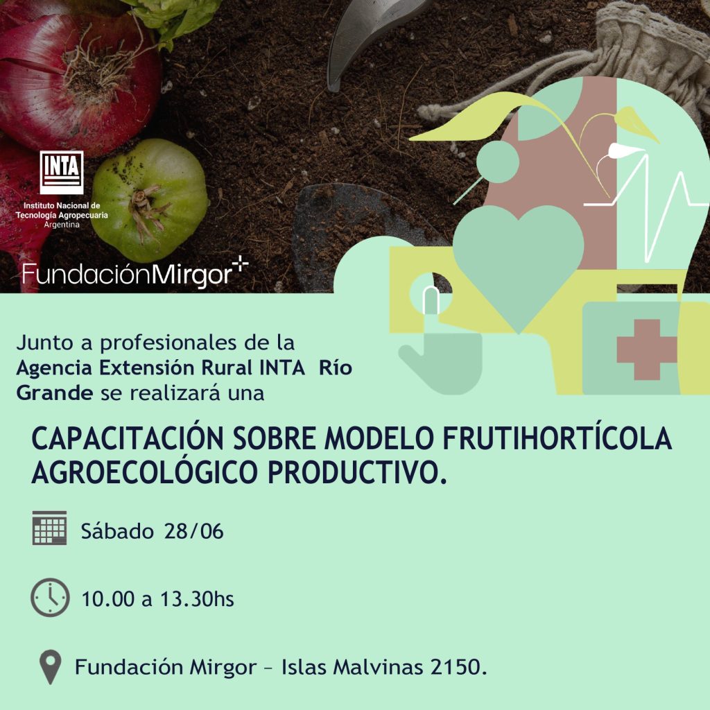 INTA MIRGOR 1024x1024