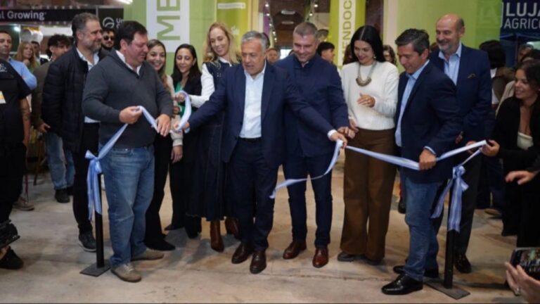 Mendoza reglamentó la Ley de Cannabis Medicinal y Cáñamo Industrial