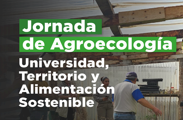 1opst Jornada 1760377694